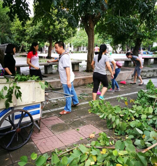台风过后  清扫校园